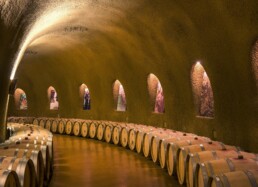 ocm-promozione-vino