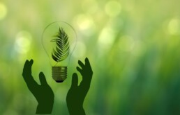 ecologica-bando-rinnovabile